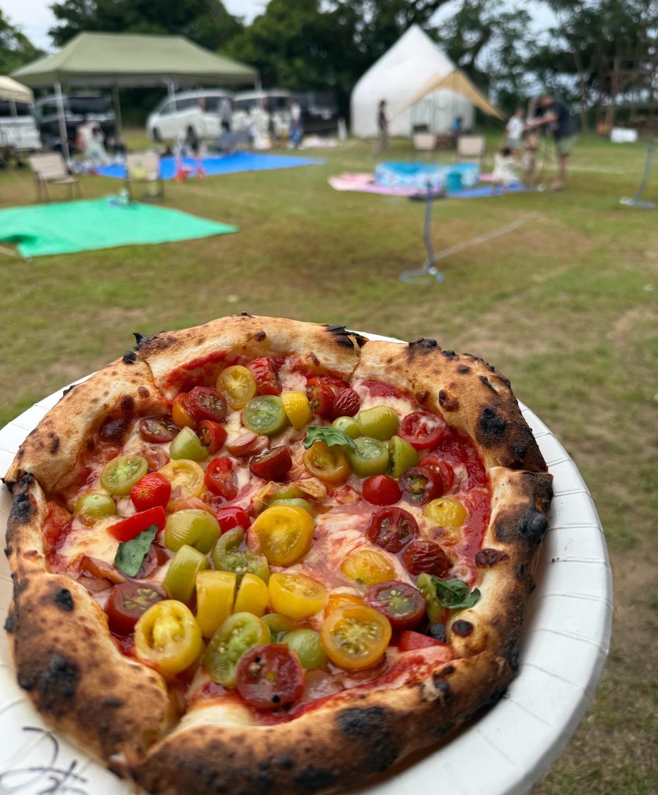 彩り野菜をたっぷりのせた、薪窯焼きのピッツァ