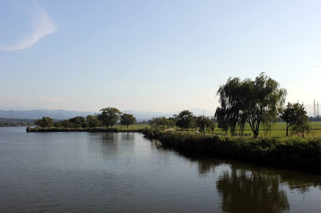 木場潟の水辺　写真：藤谷良秀 / CC BY-SA 3.0（Wikimedia Commons）