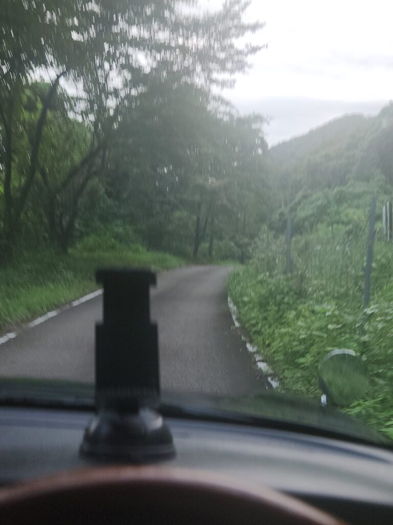石切り場へ向かう道。車1台分の幅で、両側から草が迫る