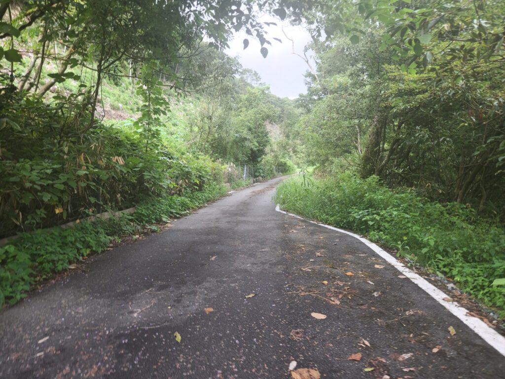 帰り道。センターラインは無い