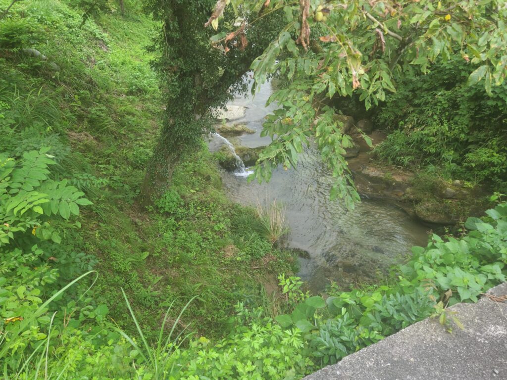 橋の上から上流側。澄んだ水と、川底の岩