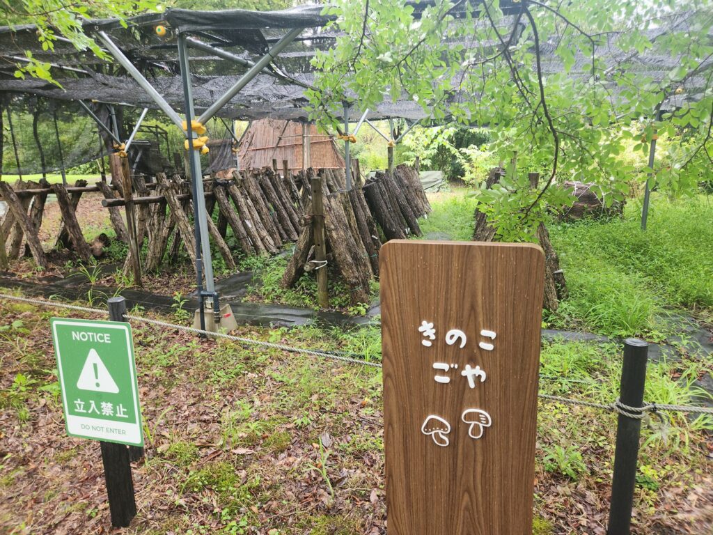 きのこ小屋