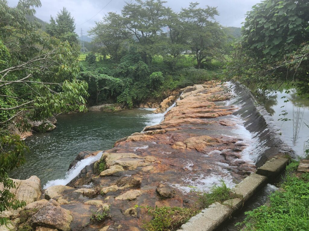 滝の上流側。赤茶色の岩盤に溝が走り、その溝ごとに水が集まる