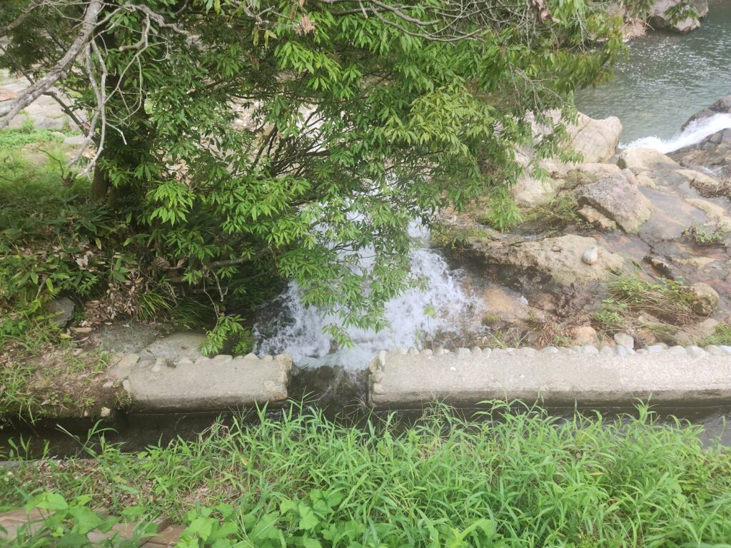 右岸の脇を流れる細い筋。用水路のようなコンクリートの水路も並走している