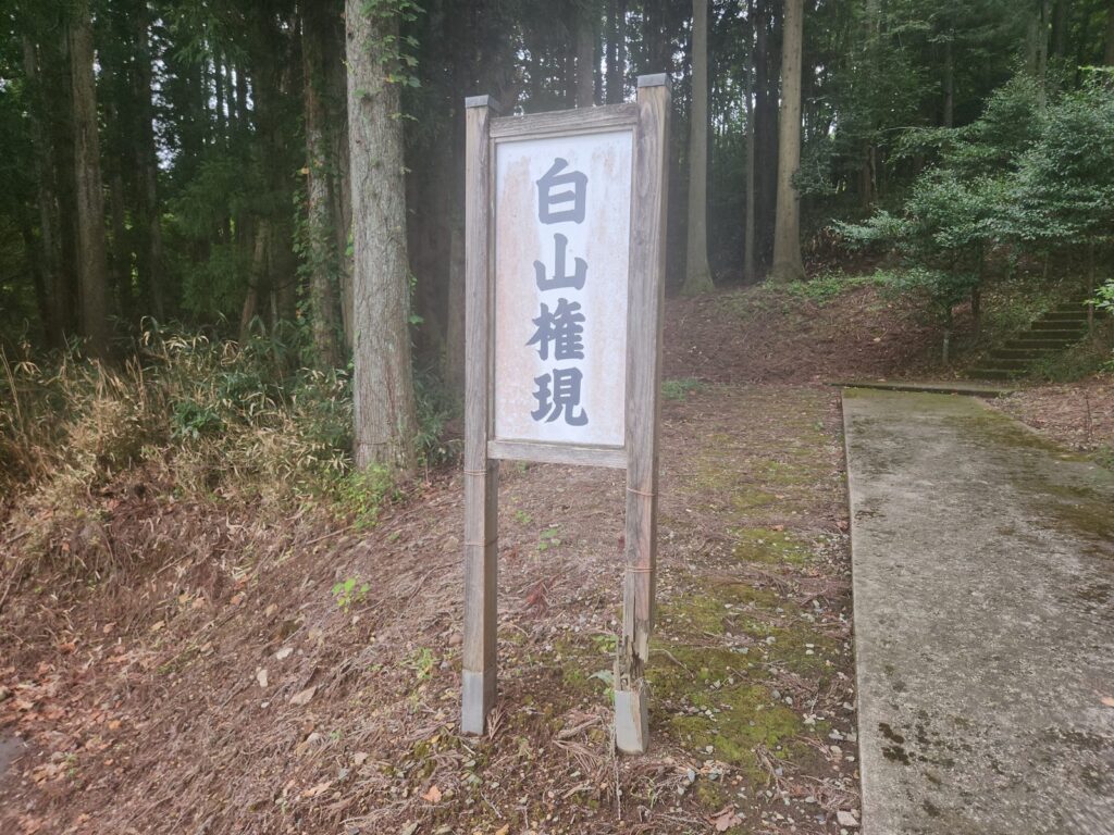 杉林の入口に立つ「白山権現」の看板。石段が林の中へ続く